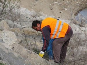 Mükremin Göleti Çevresinde Temizlik