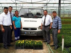 Alım Garantili Mevsimlik Süs Bitkisi Üretiminde İlk Teslimat Yapıldı