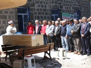 ABD’de Trafik Kazasında Hayatını Kaybeden Aytekin Harşit Memleketi Giresun’da Toprağa Verildi