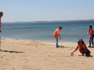 Sinop’ta Sahilde Temizlik Etkinliği