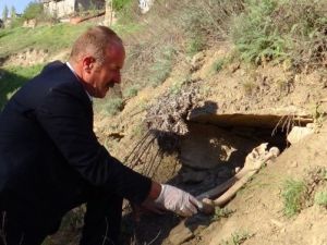 Tahrip Olan Tarihi Mezarlık Onarılmayı Bekliyor