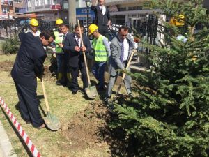 Okul Bahçesine Fidan Ve Kuş Yuvası