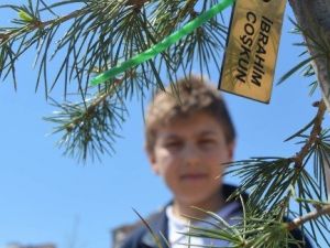 Tekden Ortaokulu Öğrencileri Fidan Dikti