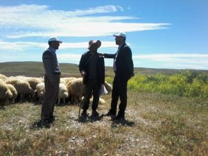 Başkan İhsan Akın, Yetiştiricileri Ziyaret Etti