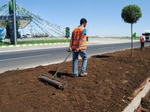 Şanlıurfa Büyükşehir İle Rengarek Oluyor