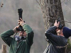 Karacabey Longoz Ormanlarında Fotoğraf Kampı