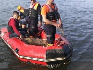 Beyler Barajı Kaçak Avcıların Attığı Ağlardan Temizlendi