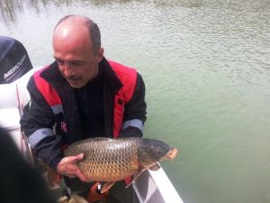 Su Ürünleri Denetimleri