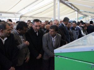 Türk Ocakları Şube Başkanı Doğan’ın Acı Günü