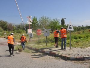Nazilli’de Cadde Ve Bulvarlardaki Yabani Otlar Temizleniyor
