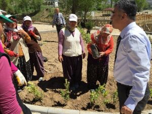 Harmankaya Kanyonu Tabiat Parkı’nda Fidan Dikimi Yapıldı