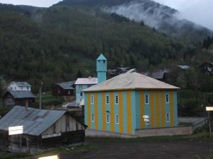 Kastamonu’da Kuş Gribi Vakası