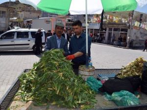 Şifalı Otlar Geçim Kaynakları Oldu