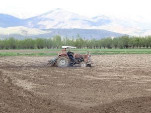 Tarlalarından Çıkan Su Mahsullerini Çürüttü