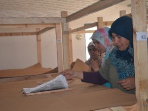 Şeyh Edebali Üniversitesi’nde İpek Böceği Yetiştiriliyor