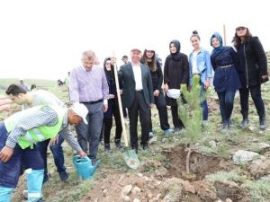 Çolakbayrakdar Buğdaylı Ormanı’na İlk Fidanı Dikti