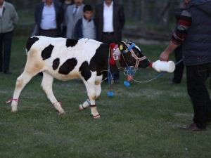 Çermik Festivali Dolu Dolu Geçiyor…