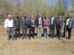 Kuluncak’ta Chia Tohumunun Ekimi Gerçekleştirildi