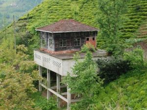 Anne Yadigarı Evi Yıkamayınca Çatıya Taşıdı