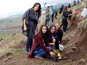 Palandöken Belediyesi İle Kent Konseyi Gençleri Anneleri İçin Fidan Dikti