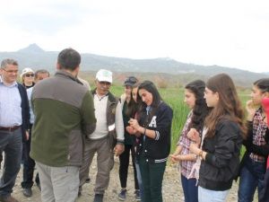 Dünya Göçmen Kuşlar Günü Etkinliği