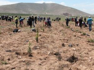 Şehit Savcı Kiraz İçin Hatıra Ormanı Oluşturuldu