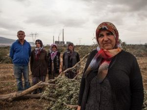 Greenpeace, Kömür Yatırımlarının İptal Edilmesini İstedi