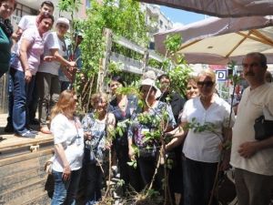 CHP Ödemiş Kadın Kollarından "Her Anneye Bir Fidan"