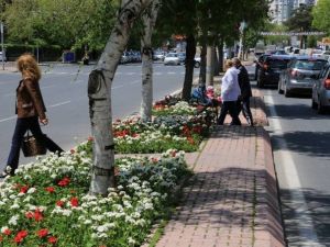 Melikgazi Şimdi Çiçek Bahçesi