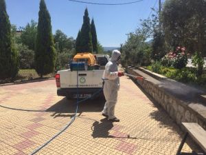 Kene Sandılar, Kırmızı Örümcek Çıktı