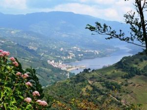 ’Ayvacık Şenlikleri’ne Davet