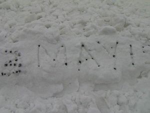 - Van’da Mayıs Ayında Karla Mücadele