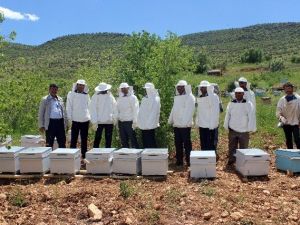 Savur’da Arıcılık Projesi Hayata Geçirildi
