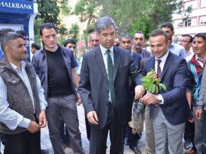 Siverek’te Fidan Dağıtımı