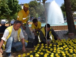 Büyükşehir, Nazilli’deki Parkları Çiçeklendiriyor