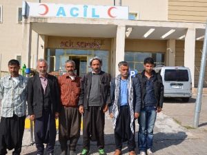 Şanlıurfa’da Arıların Saldırdığı 3 Çocuk Yaralandı