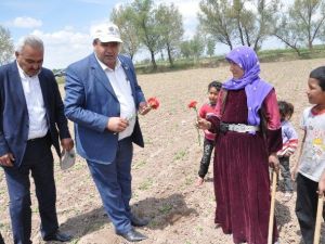 Aksaray’da Çiftçilere Karanfilli Kutlama