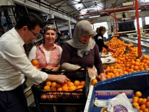 AK Parti Adayı Uslu’ya, Doğup Büyüdüğü Mahalleden Tam Destek