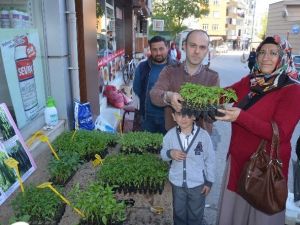 Fatsa’da Fideye Yoğun Rağbet