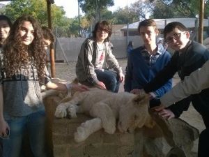 Samsun Final Güney Afrika’da