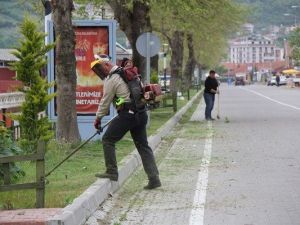 Cide’de Sezona Hazırlıklar Sürüyor