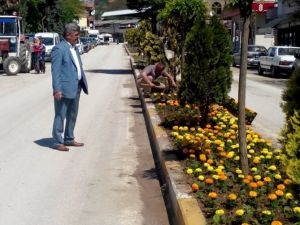 Yığılca Çiçek Açtı