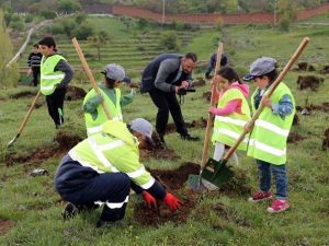Akçakaya Mahallesinde Anlamlı Fidan Dikimi