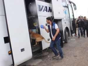 Narkotik Polis Köpeği Chaira Uyuşturucu Tacirlerinin Korkulu Rüyası Oldu