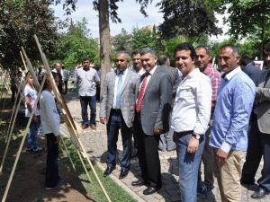 Kızıltepe Çağıl Ortaokulu Öğrencilerinden Resim Sergisi