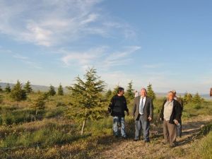 Kulu Doğal Hayatı Koruma Derneği’nden Açıklama