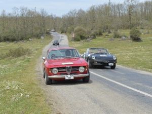 Zeytin Ağaçları İçin Ralli Düzenleniyor