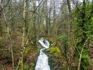 Edremit’te Sağlıklı Yaşam Yürüyüşü Yapılacak