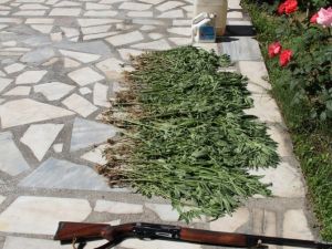 Jandarma Uyuşturucuya Geçit Vermiyor