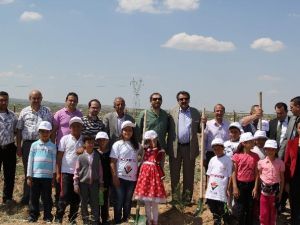 Cihanbeyli’de 2 Bin Ağaç Dikildi